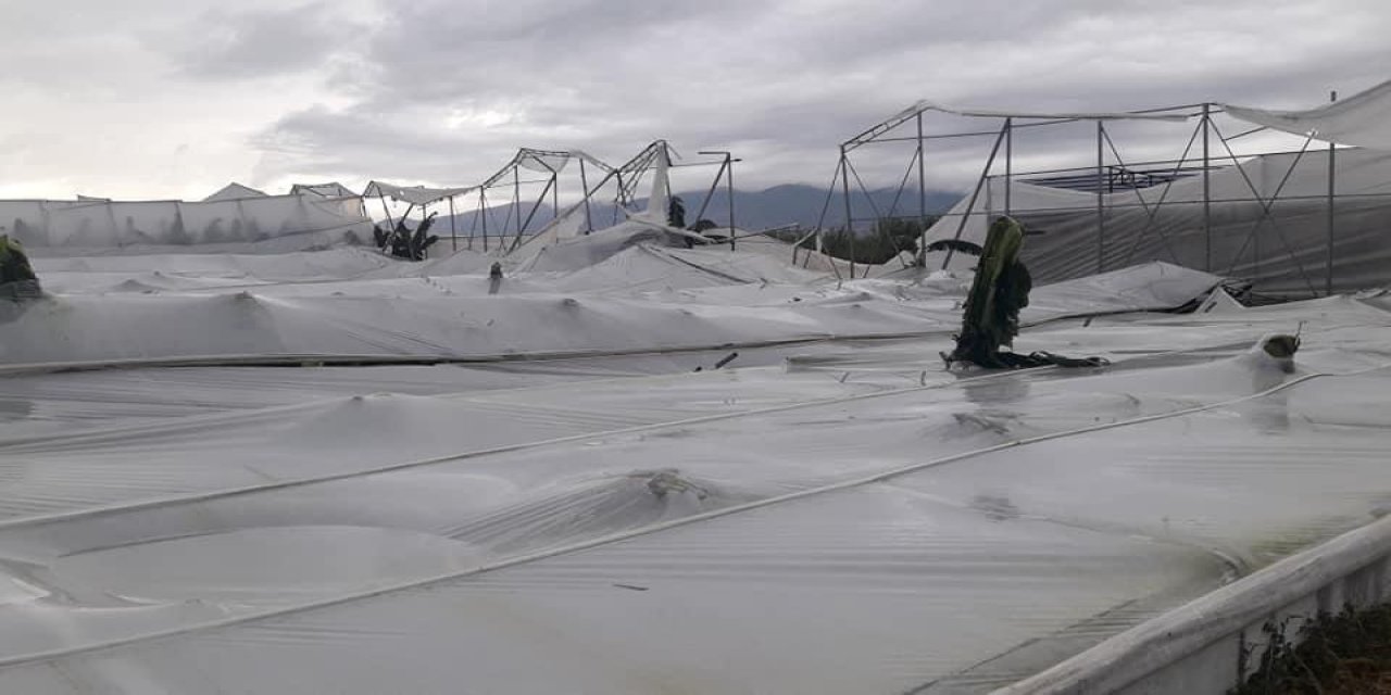 Sultanhisar’da şiddetli fırtına muz seralarını vurdu