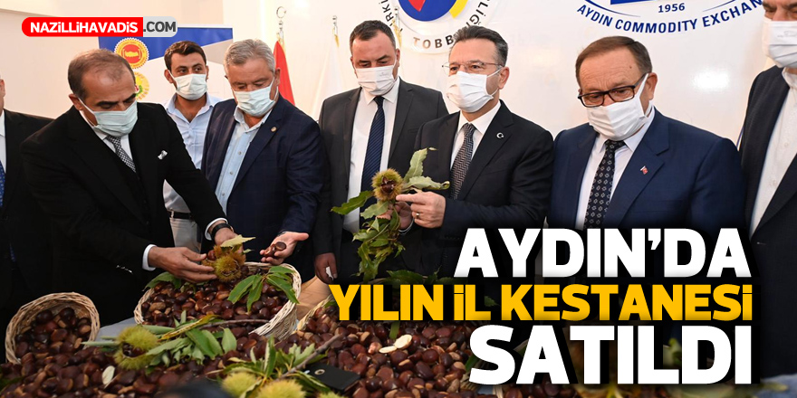 Aydın’da yılın ilk kestanesi satıldı