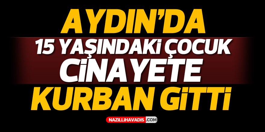 AYDIN'DA 15 YAŞINDAKİ ÇOCUK CİNAYETE KURBAN GİTTİ