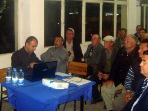 Aydın’da Zeytin Dal Kanseri Mücadelesi Devam Ediyor
