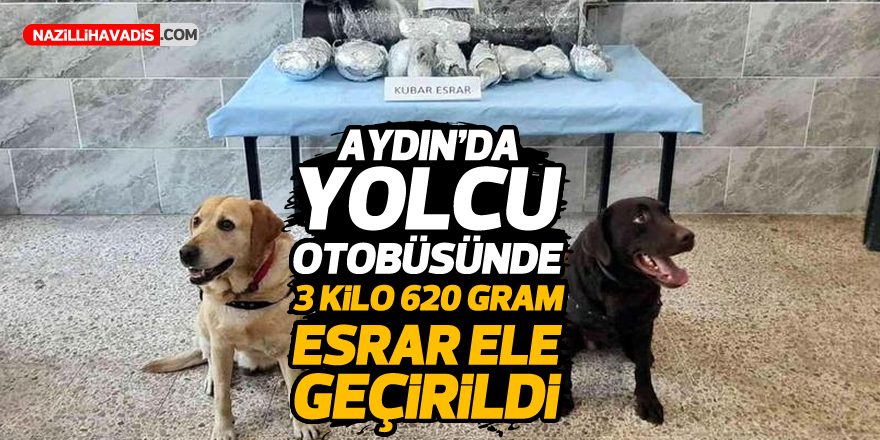 Aydın - Denizli yolcu otobüsünde 3 kilo 620 gram esrar ele geçti