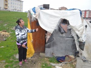 Kümes Gibi Evde Yaşam Mücadelesi