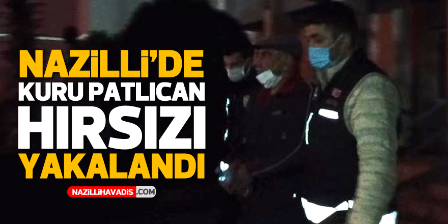 NAZİLLİ'DE 20 BİN TL'LİK PATLICAN ÇALAN HIRSIZ YAKALANDI