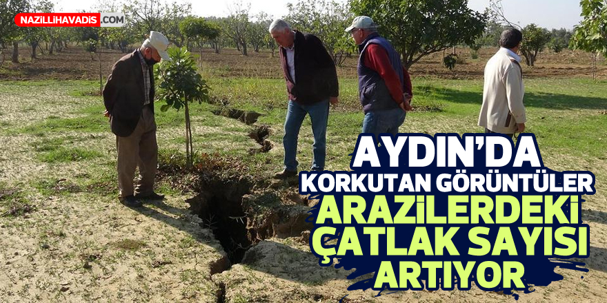 Aydın'da arazilerde oluşan çatlakların sayısı artıyor