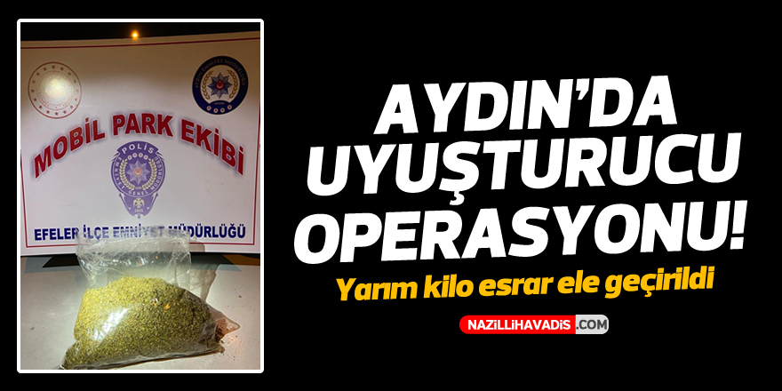 Aydın'da uyuşturucu operasyonu