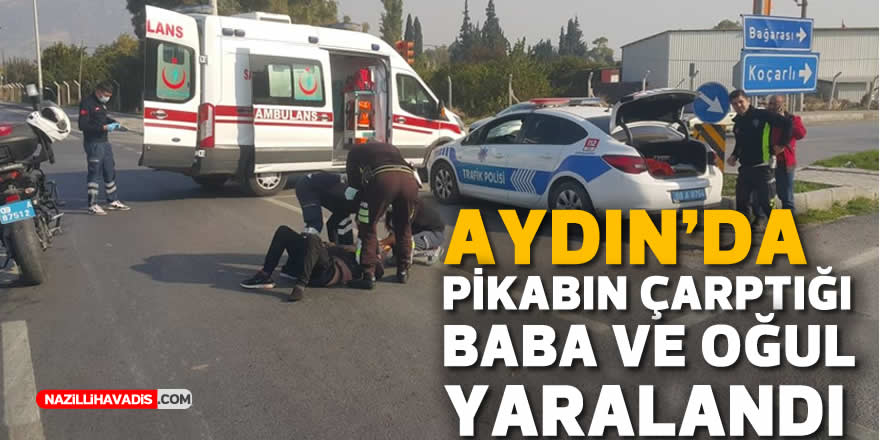 Aydın'da pikabın çarptığı baba ve oğlu yaralandı