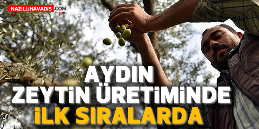 Bakan Pakdemirli’den ‘zeytin’ açıklaması