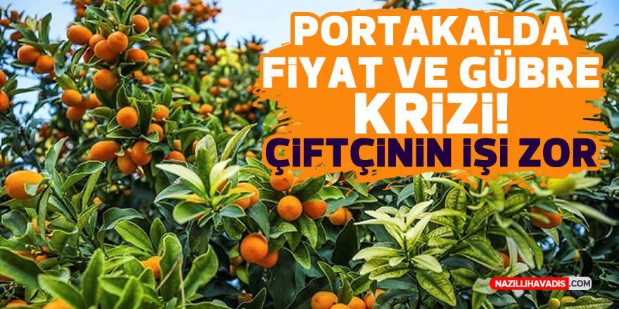 Gübre fiyatları arttı, üreticinin işi zorlaştı