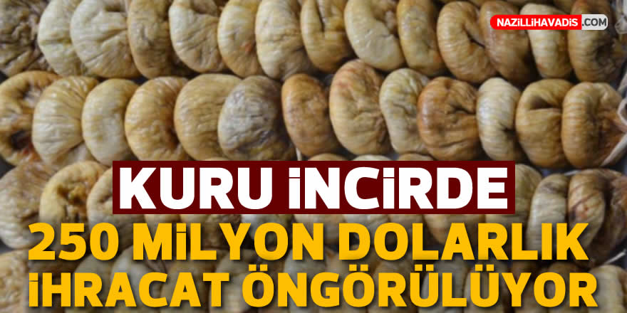 Kuru incirde 250 milyon dolarlık ihracat öngörülüyor