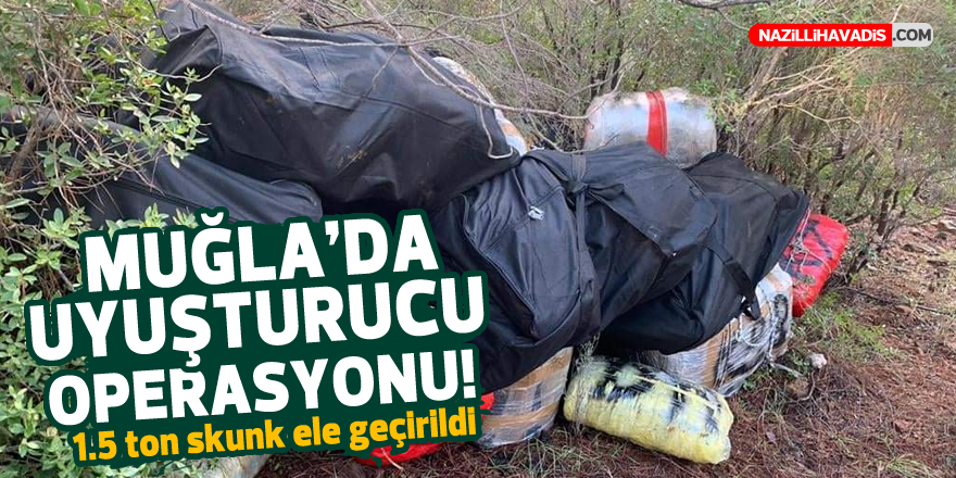 Muğla'da uyuşturucu operasyonunda 1,5 ton skunk ele geçirildi