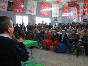 Kayalı, Romanlarla Buluştu