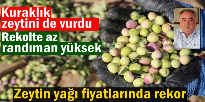 Zeytinyağı fiyatlarında artış yaşandı