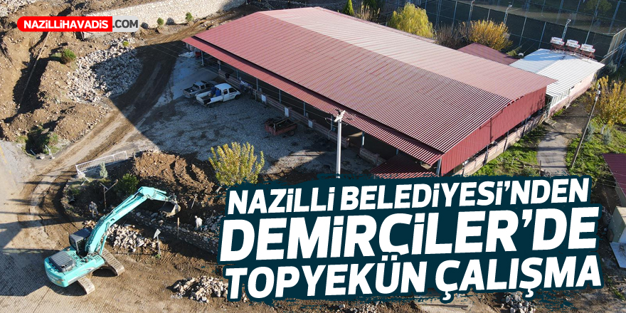 Nazilli Belediyesi’nden Demirciler’de topyekün çalışma