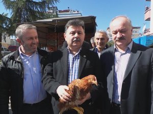 Ziraat Odası Yumurta Tavuğu Dağıttı