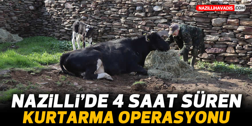 Nazilli'de 4 saat süren kurtarma operasyonu