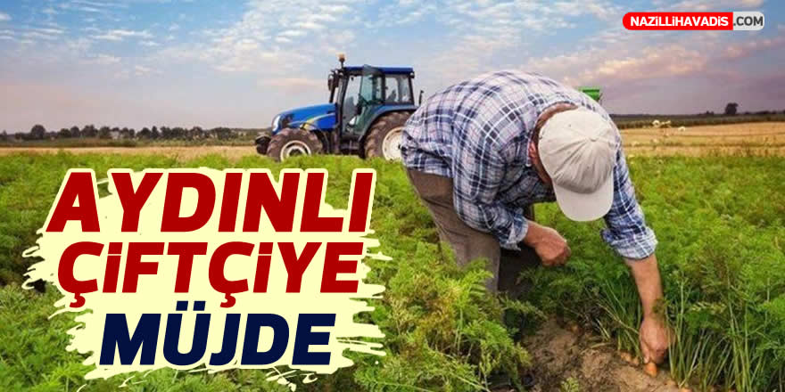 Savaş duyurdu… Verim kaybı ve zeytinyağı fark desteği ödemeleri başlıyor