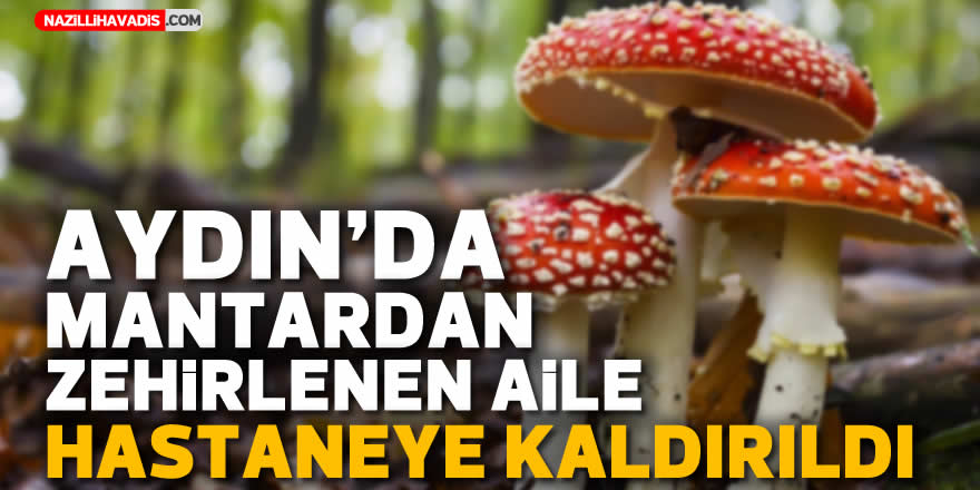 Aydın’da mantardan zehirlenen aile hastaneye kaldırıldı