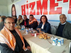 Çerçioğlu, Sezonun Son Deve Güreşini İzledi