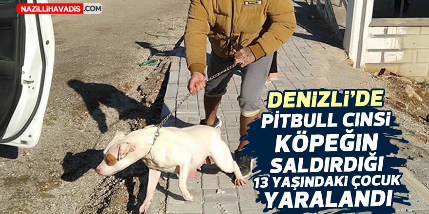 Denizli'de pitbull saldıran çocuk yaralandı; o anlar kamerada