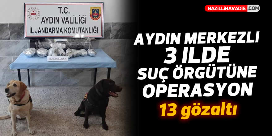 Aydın merkezli 3 ilde suç örgütüne operasyon; 13 gözaltı