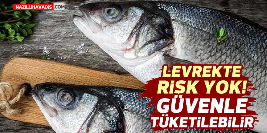 Levrekte risk yok! Güvenle tüketilebilir