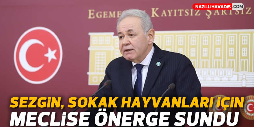 Sezgin, sokak hayvanları için meclise önerge sundu