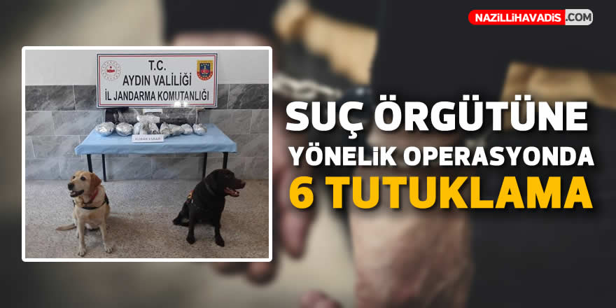 Suç örgütüne yönelik operasyonda 6 tutuklama