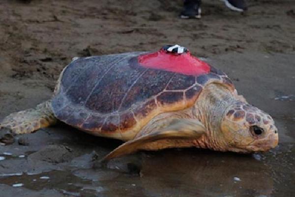 15 bin kilometre katetti, 6 milyon kişi izledi