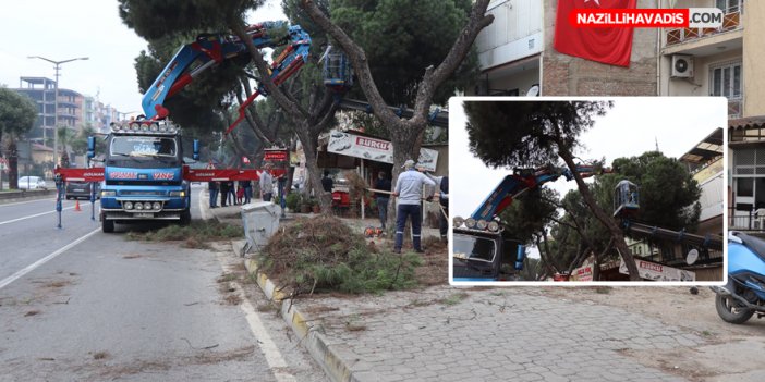 Nazilli Belediyesi ekipleri bu kez ihtiyaç sahibi aileler için çalışıyor