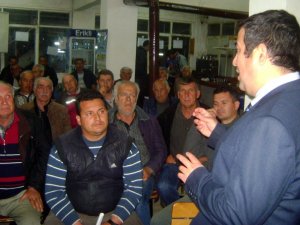 Zeytin Dal Kanseri Didim Bölgesini Tehdit Etmeye Başladı