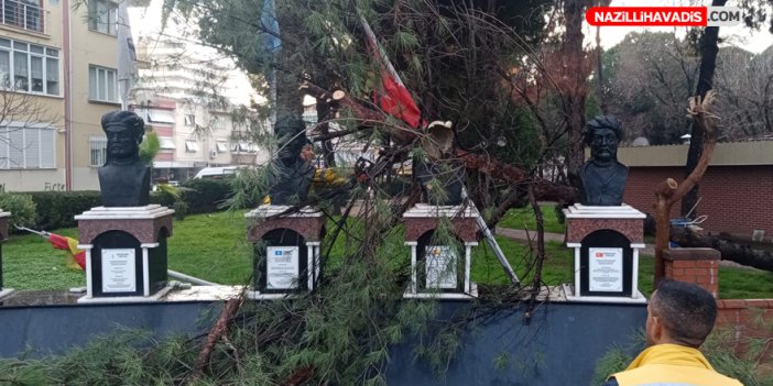 Nazilli’de sağanak etkili oldu, çam ağacı kaidelerin üzerine devrildi