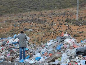 Çöplük'te Fotoğraf Sanatı