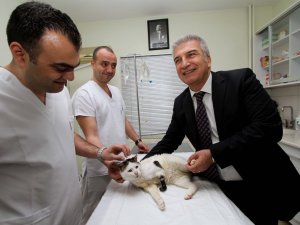 Başkan Durak’ın Çabası Dünyada Bir İlke İmza Attırdı