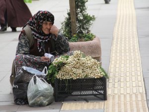Herşeye Rağmen Şükredebilmek