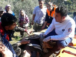 Dağda Yaralı Bulunan Yaşlı Kadını Afad Ekipleri Kurtarmış