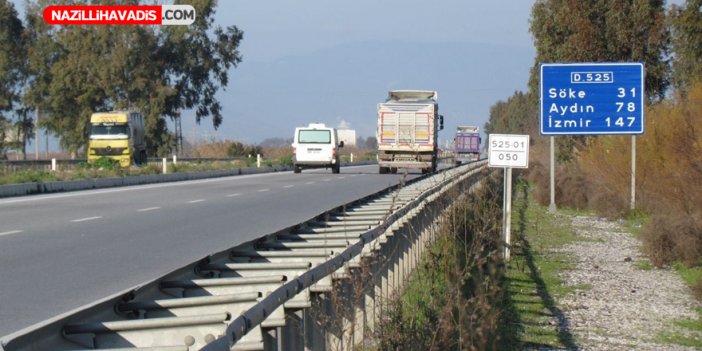 Kuşadası’nda su samuru karayolunda ezilerek telef oldu