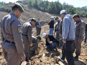 Jandarma Kuruluşunun 175. Yılını Fidan Dikerek Kutladı