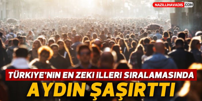 Türkiye'nin en zeki illeri sıralamasında Aydın şaşırttı