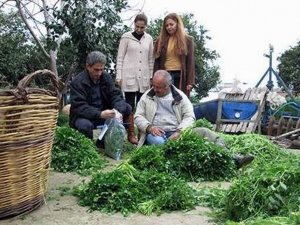 Aydın’da 2014 Yılının İlk Hasat Öncesi Pestisit Denetimi Yapıldı