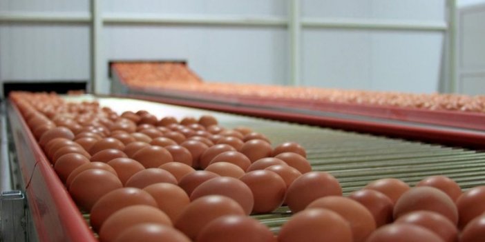 KDV indirimi öncesi yumurta fiyatları arttı: Bakanlık o işletmelere müfettiş gönderdi