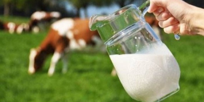 Nazilli’de çiftçi ne kadar süt üretti, ne kadar destekleme aldı?
