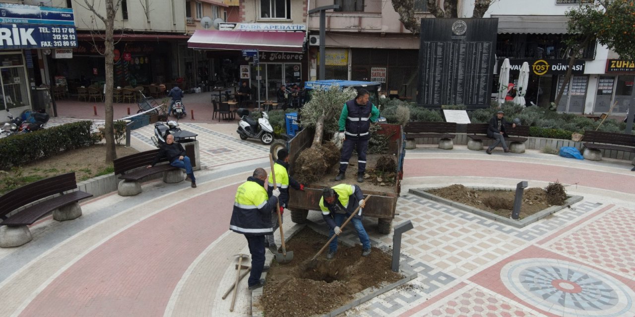 Nazilli Belediyesi’nden ‘zeytinime dokunma’ çağrısı