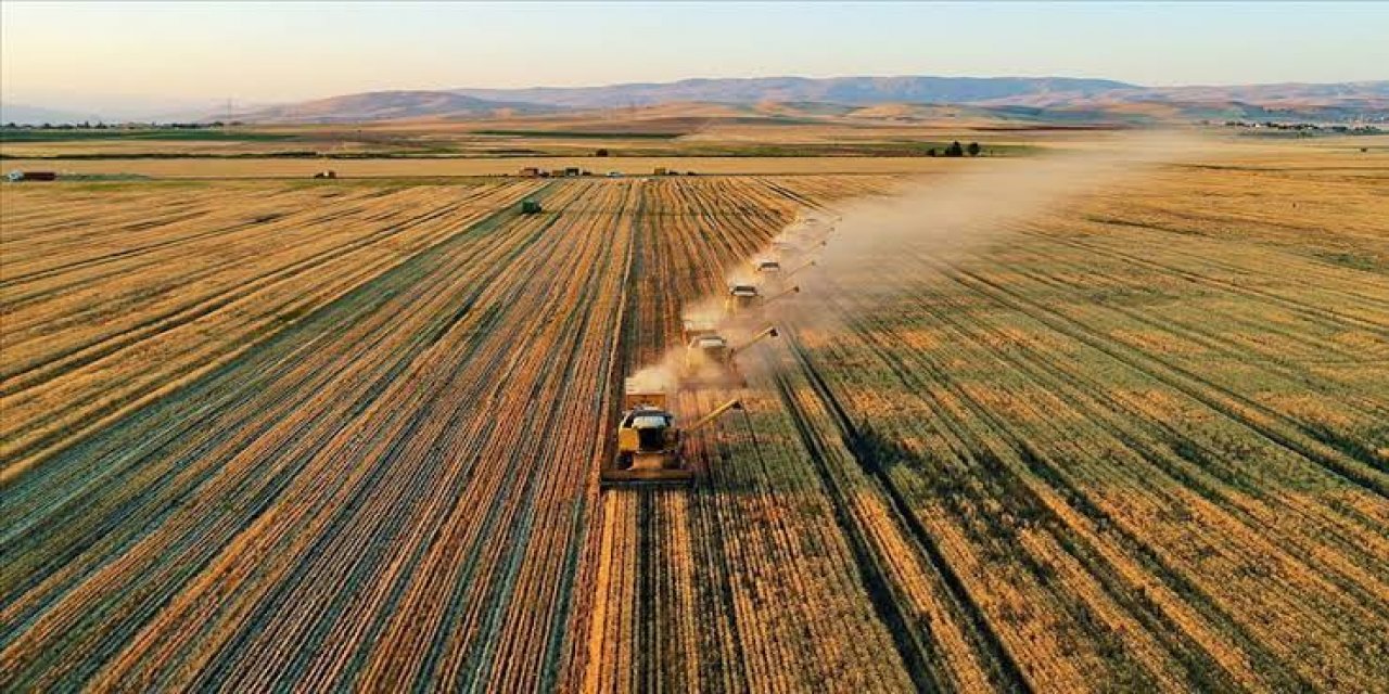 Kooperatif başkanından korkutan açıklama: Çiftçimiz üretemezse Türkiye aç kalır