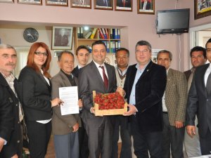 Sultanhisarlı Çiftçiye Kredi Desteği