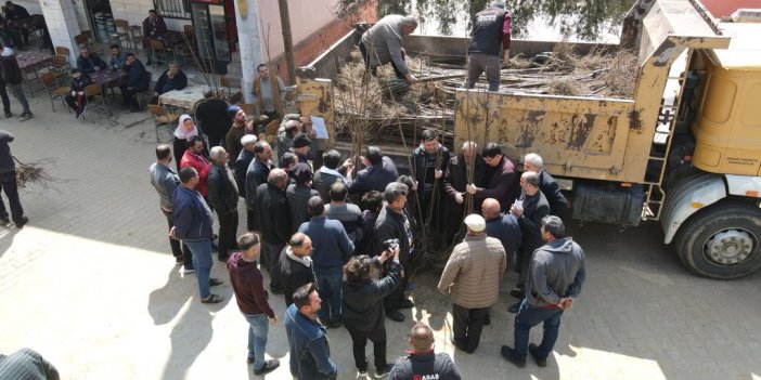 Nazilli’de kestane fidanı dağıtıldı