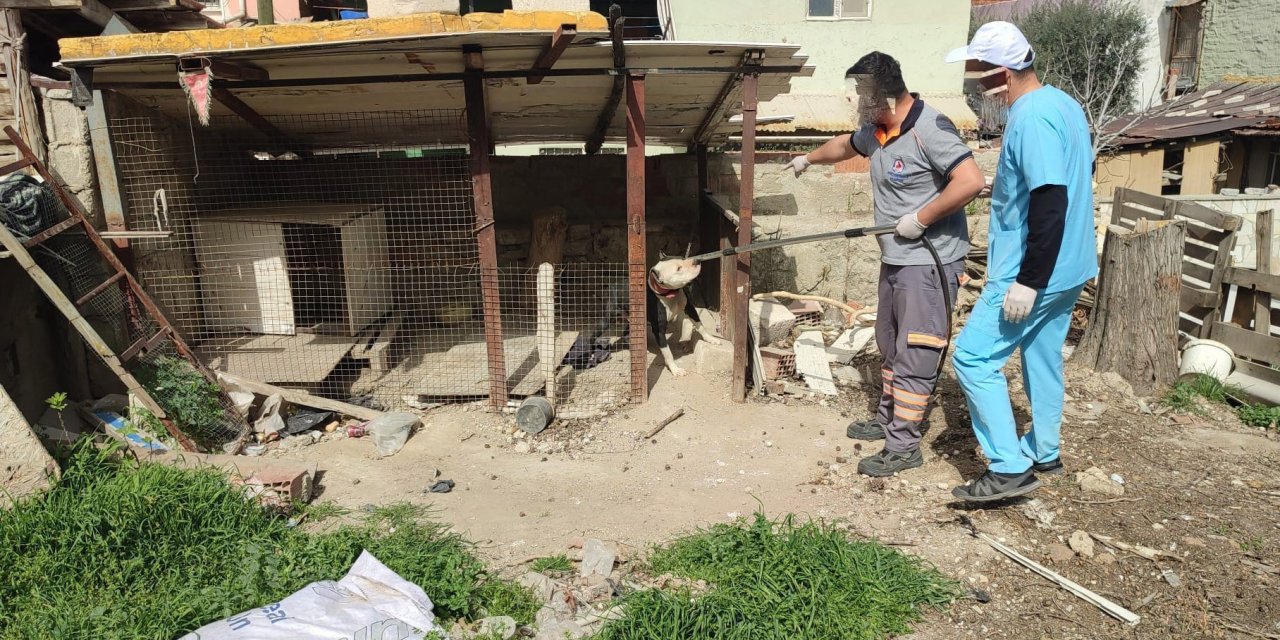 Yasaklı ırk köpek besleyen ve kayıt altına almayan sahibine 15 bin lira ceza