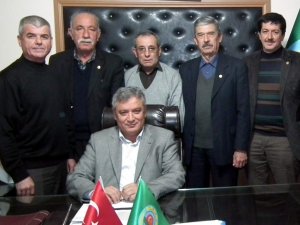 Aydın’da Zeytin Dal Kanseri Yayılıyor