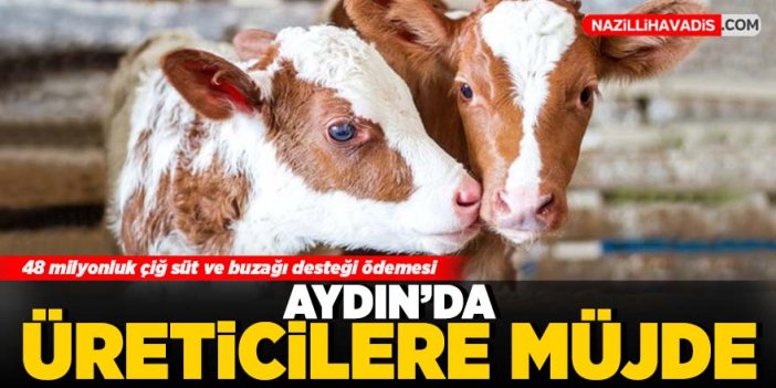 Aydın’da üreticilere müjde