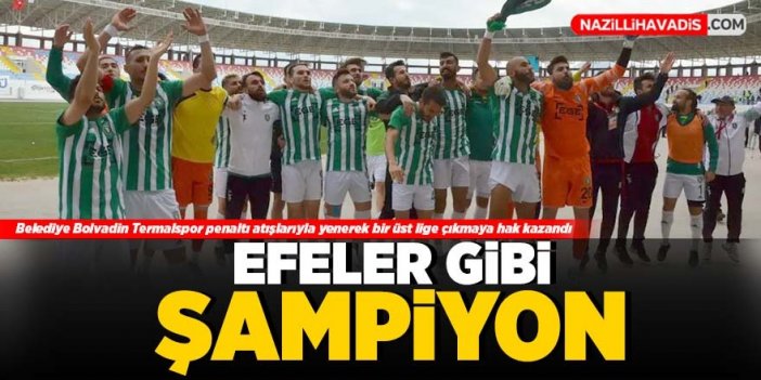 Efeler 09 FK 3. Lig’e yükseldi