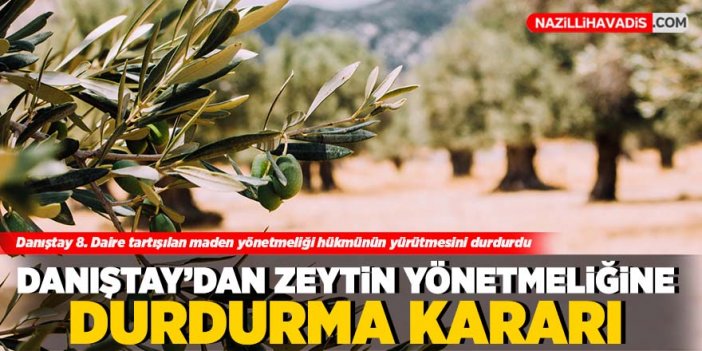 Danıştay'dan tartışılan zeytin yönetmeliğine durdurma